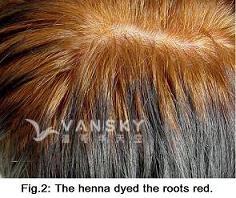 260616162527_Hair-Dying with henna-s.jpg